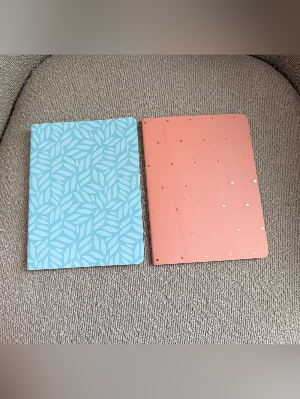 Set of two Passionate Penny Pincher Journals. New with Tags